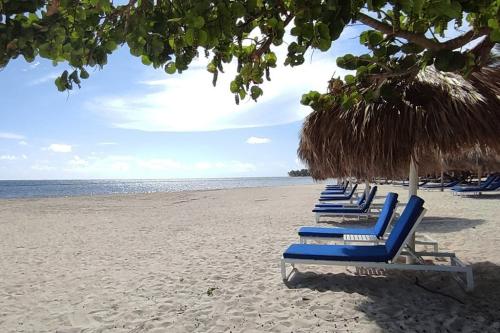 1be0f0f1051db60s1024